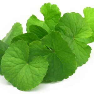 Brahmi Powder