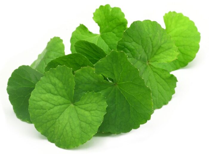 Brahmi Powder